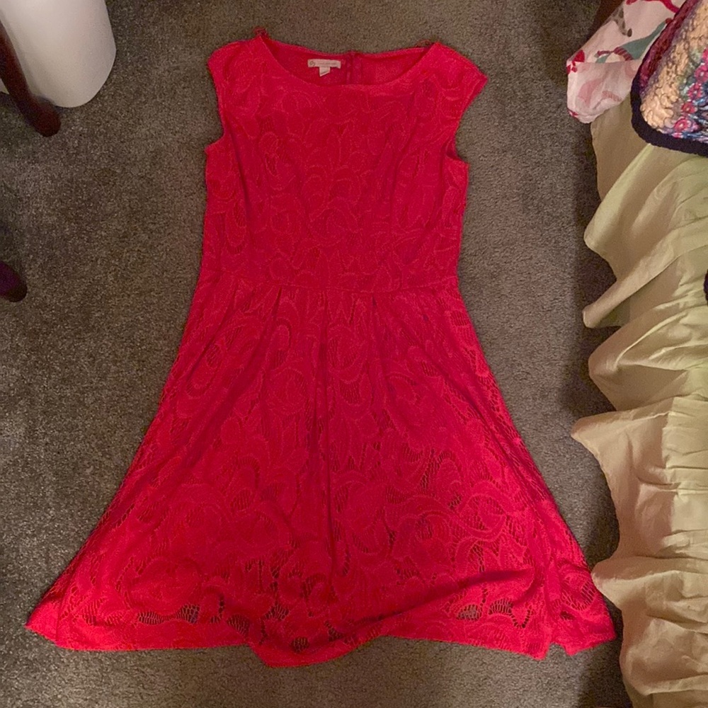 Dress Barn Gently Used A line Lace Dress Great Condition